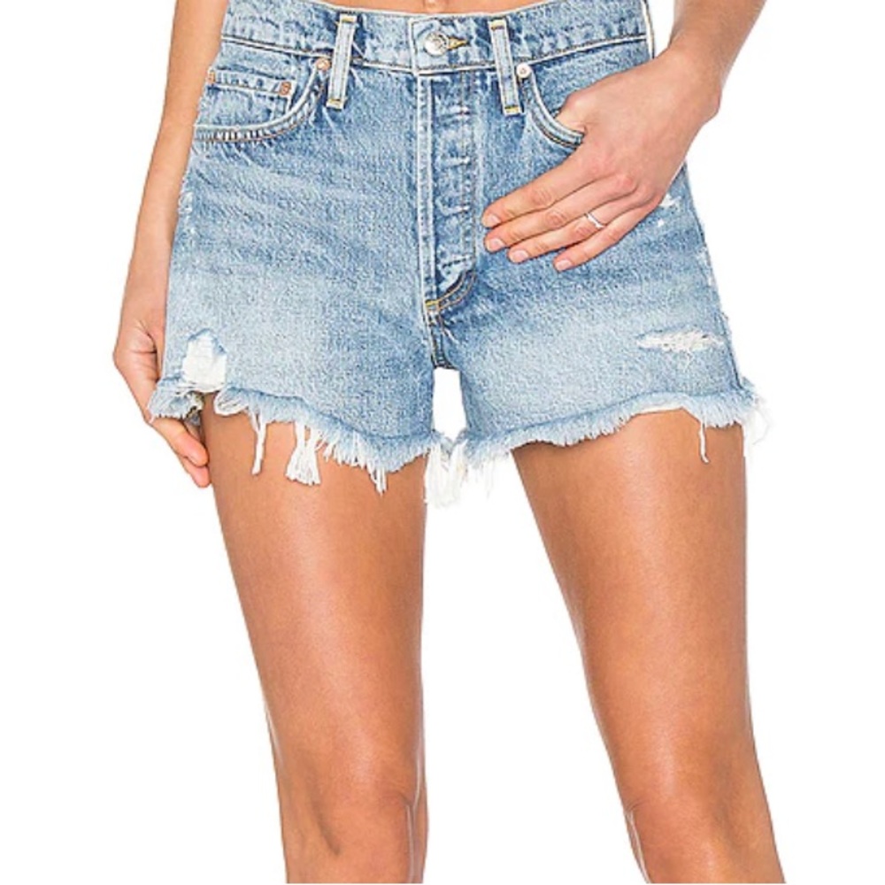 AGOLDE Parker Denim Shorts in Swapmeet